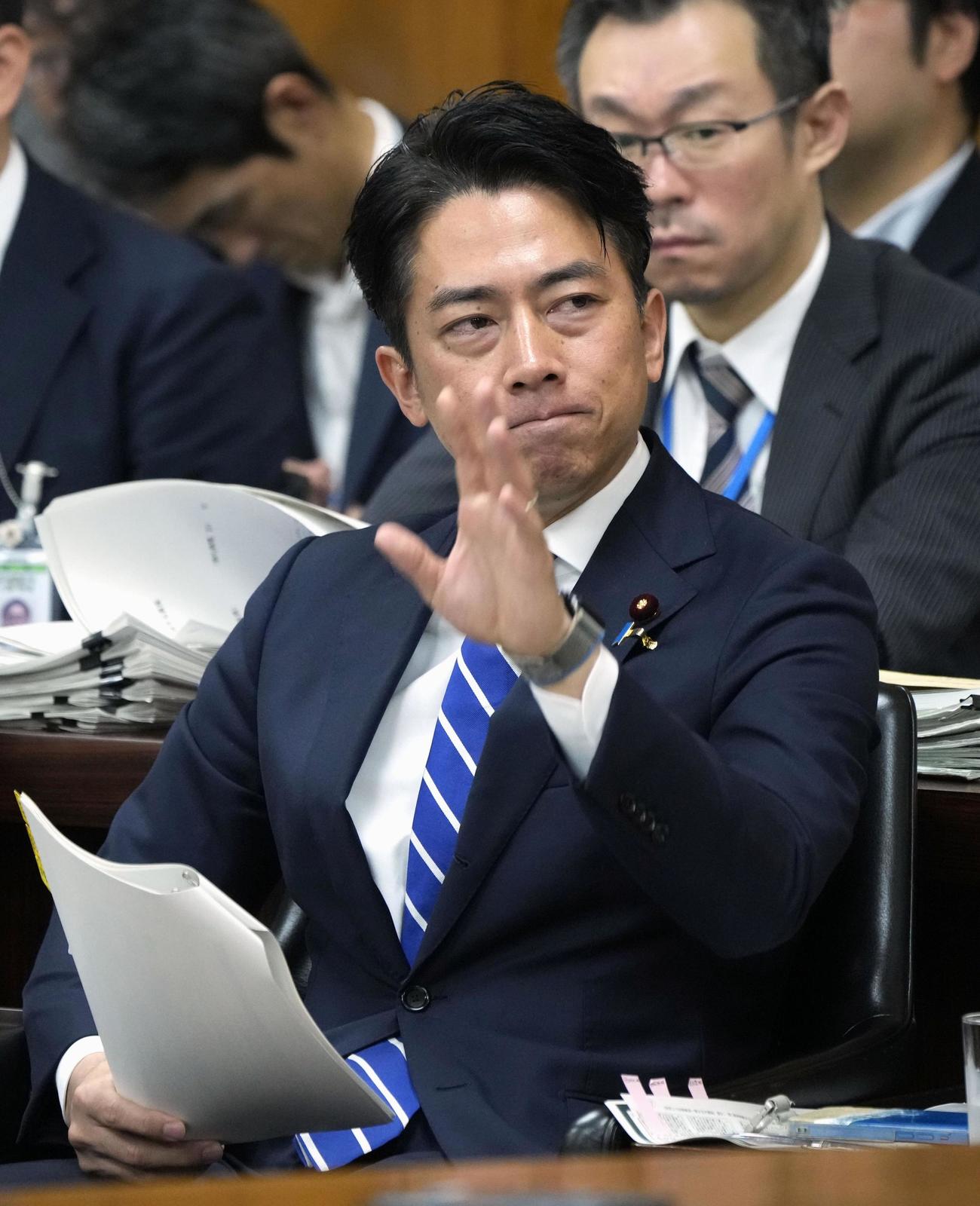 衆院農林水産委で答弁のため挙手する小泉農相（共同）