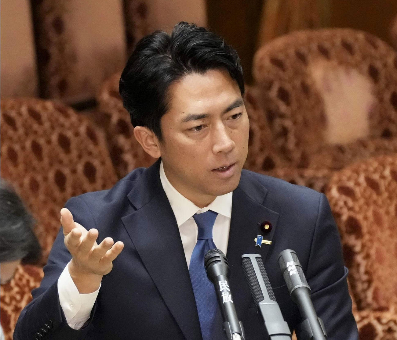 参院予算委の集中審議で答弁する小泉農相＝2日午前（共同）