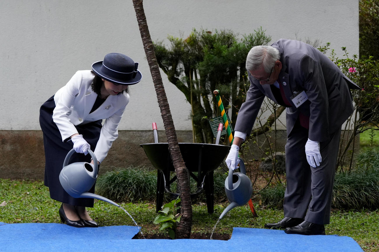 ブラジル・サンパウロのイビラプエラ公園にある日本館での植樹式にご出席される佳子さま（ロイター）