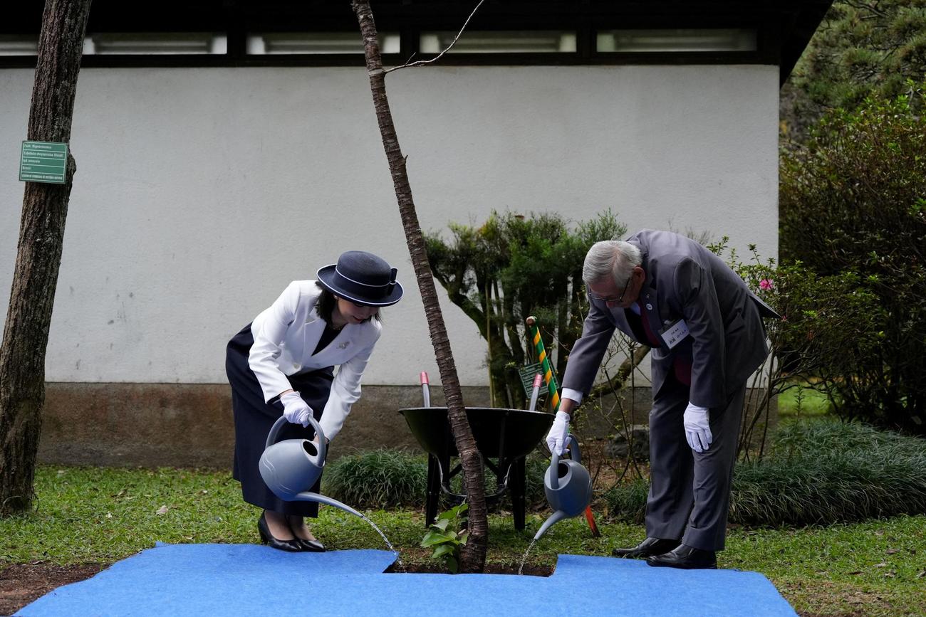 ブラジル・サンパウロのイビラプエラ公園にある日本館での植樹式にご出席される佳子さま（ロイター）