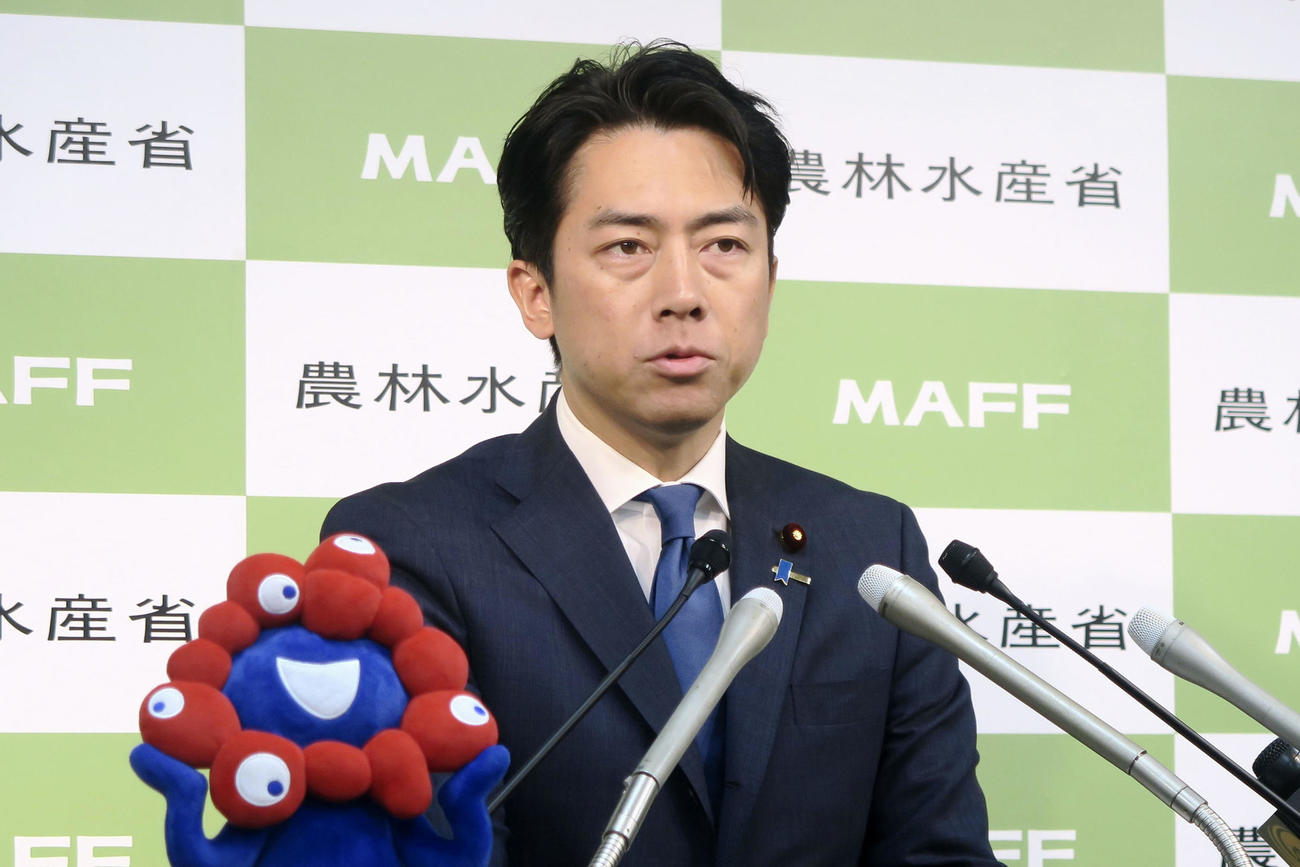 記者会見する小泉農相（共同）