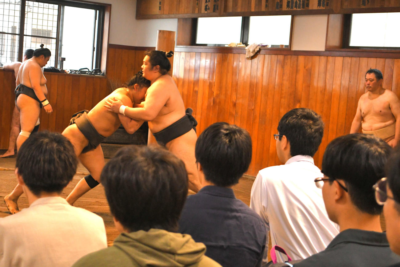 湊部屋の力士の稽古を見学する囲碁の藤澤一就八段一門の棋士たち