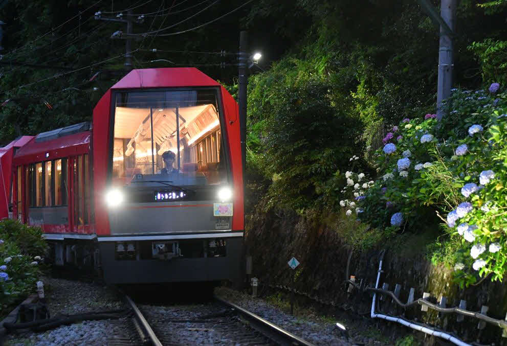 デビュー10周年を迎えた「アレグラ号」で14日から運行される箱根登山電車の「夜のあじさい号」