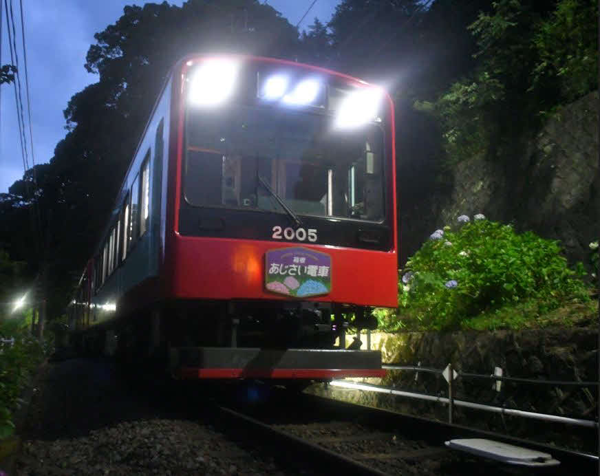 箱根登山電車の普通車両にも「あじさい電車」のヘッドマークが取り付けられている