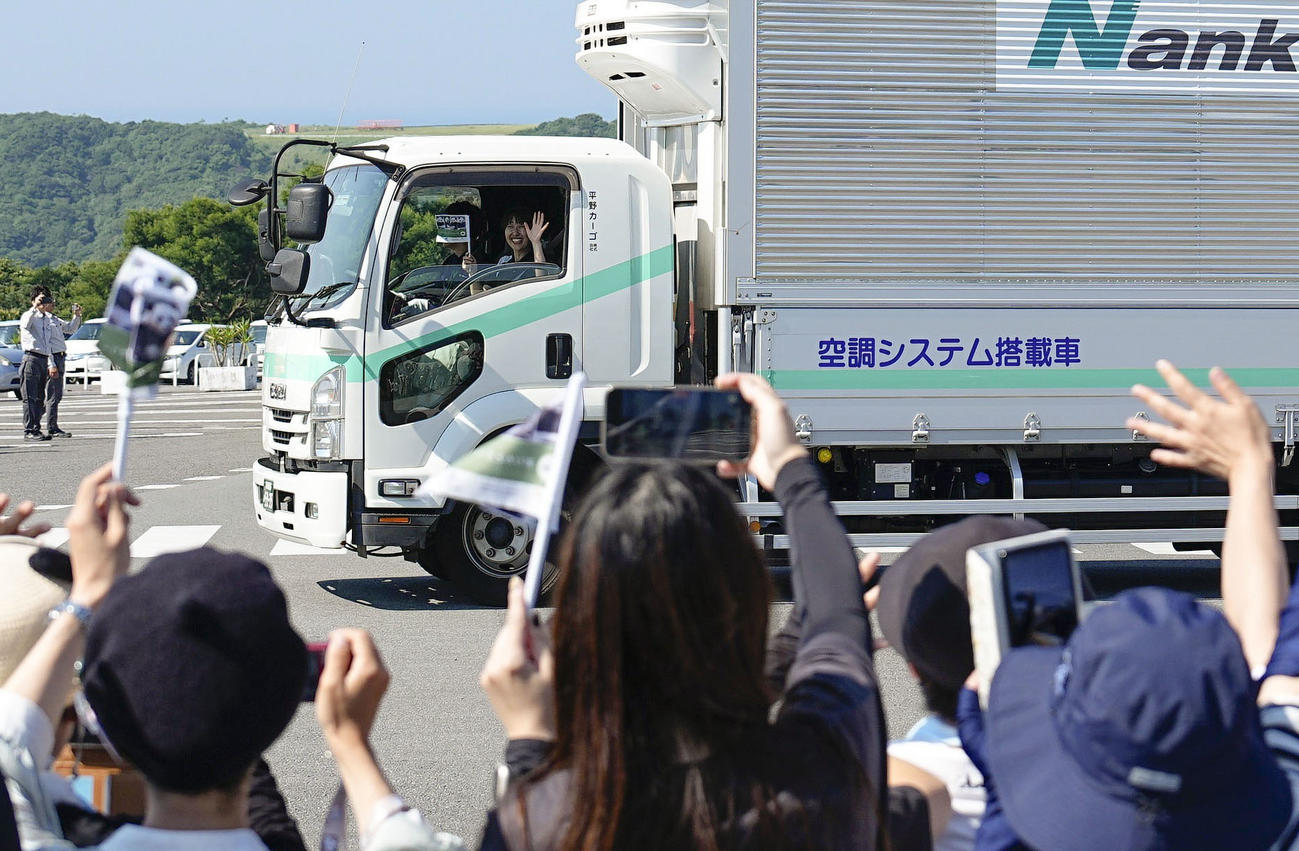 集まったファンに見送られ、アドベンチャーワールドを出発するジャイアントパンダをのせたトラック（共同）