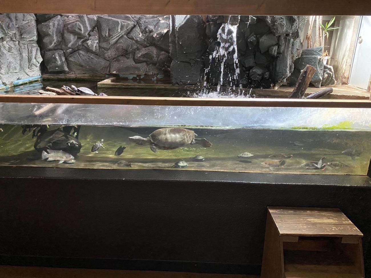 被害にあった水槽（体感型動物園iZoo提供）