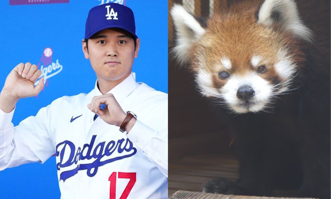 誕生日が同じという大谷翔平と風太
