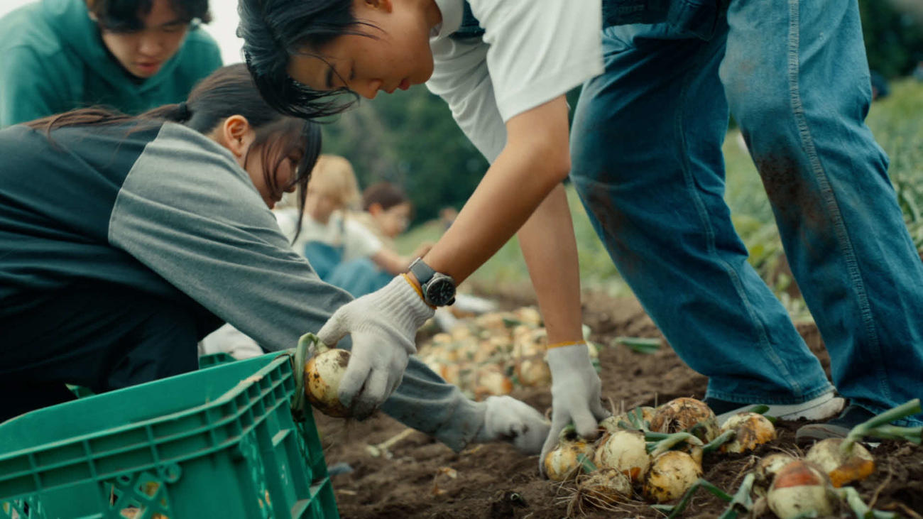群馬県で野菜を収穫する農業体験
