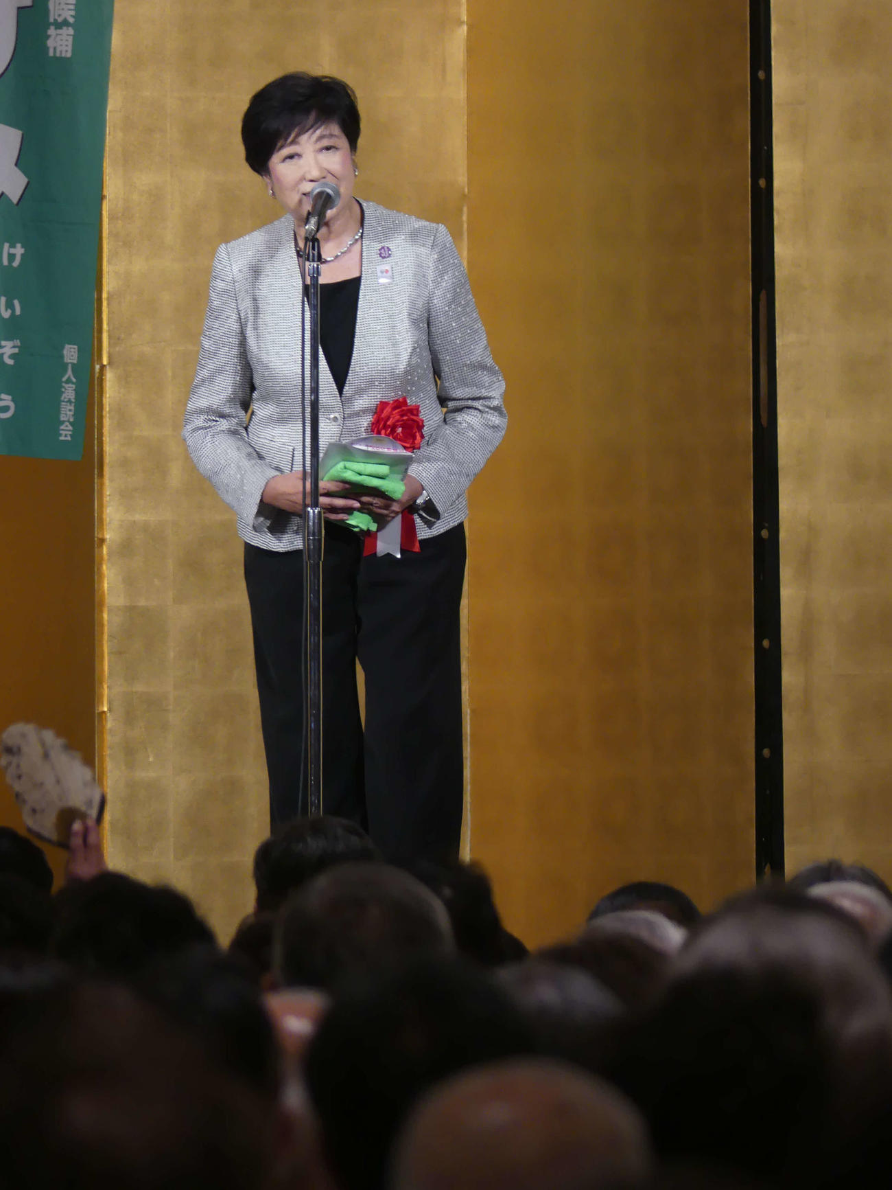 自民党の武見敬三氏の最終総決起大会であいさつする東京都の小池百合子知事（撮影・中山知子）