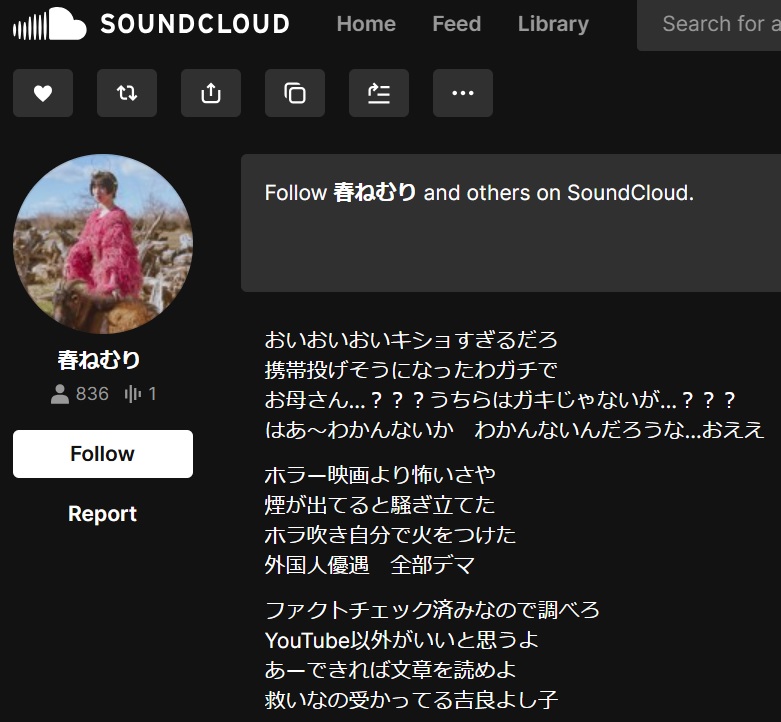 参政党さや氏に対する「怒り」を歌詞にしたという楽曲「IGMF」の歌詞の一部（春ねむりのサウンドクラウドから）
