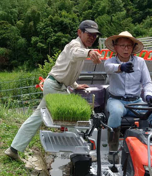 棚田で初心者に田植えの指導をする吉住公洋さん