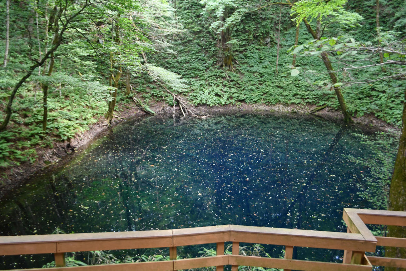コバルトブルーの湖面が美しい十二湖の青池
