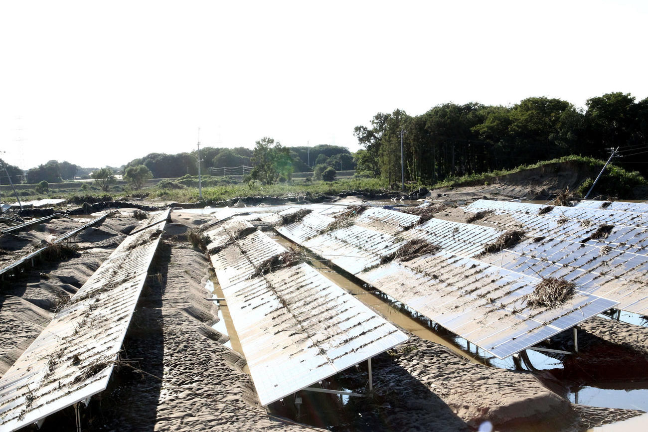 茨城県常総市若宮戸地区のメガソーラーパネル群（2015年9月撮影）