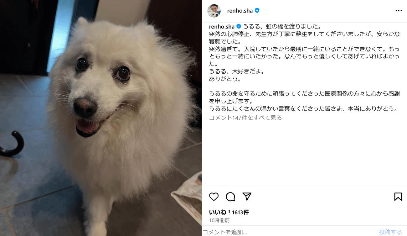 蓮舫氏のインスタグラムから