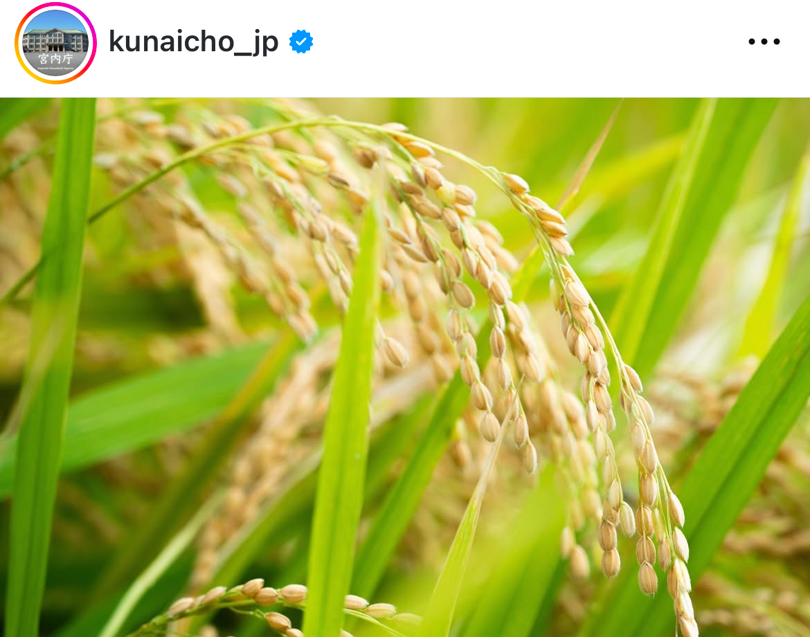 宮内庁のインスタグラムから