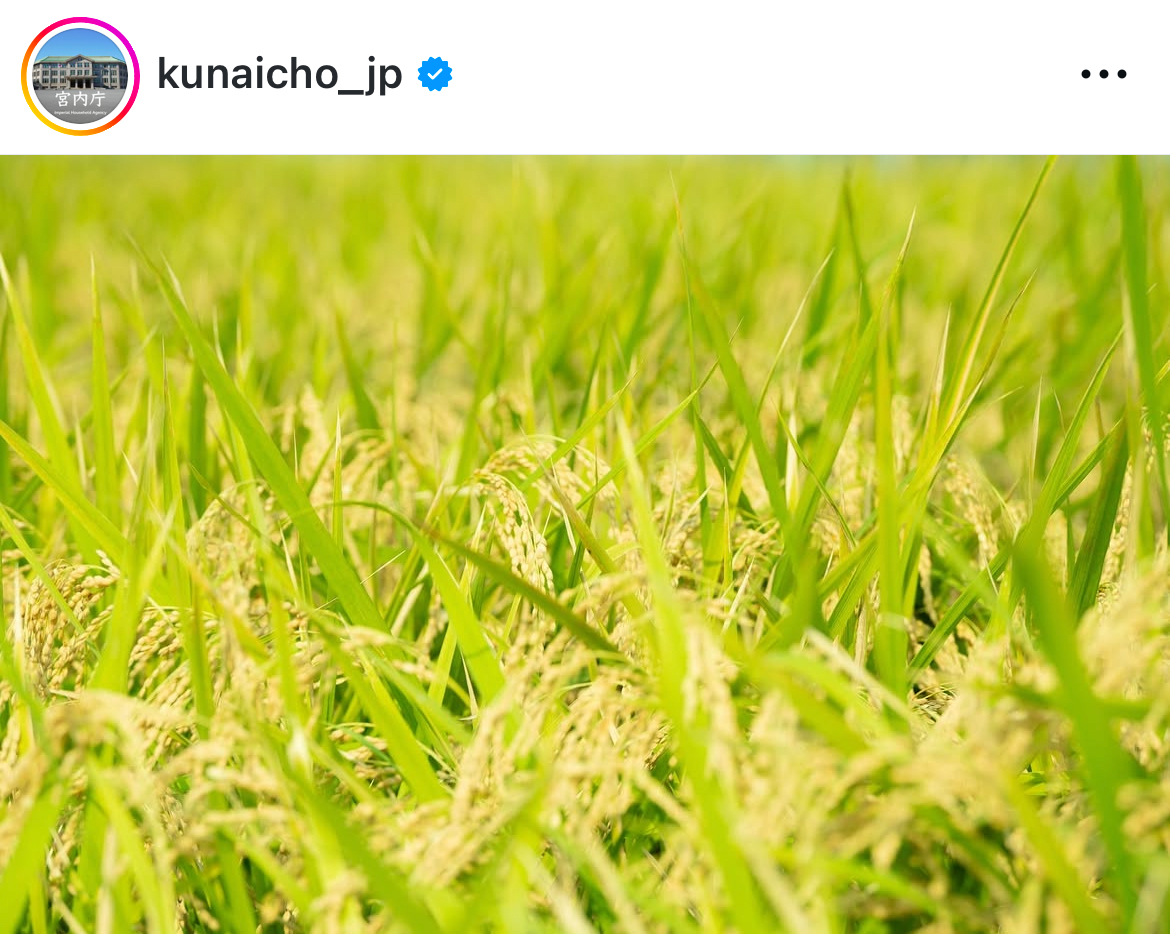 宮内庁のインスタグラムから