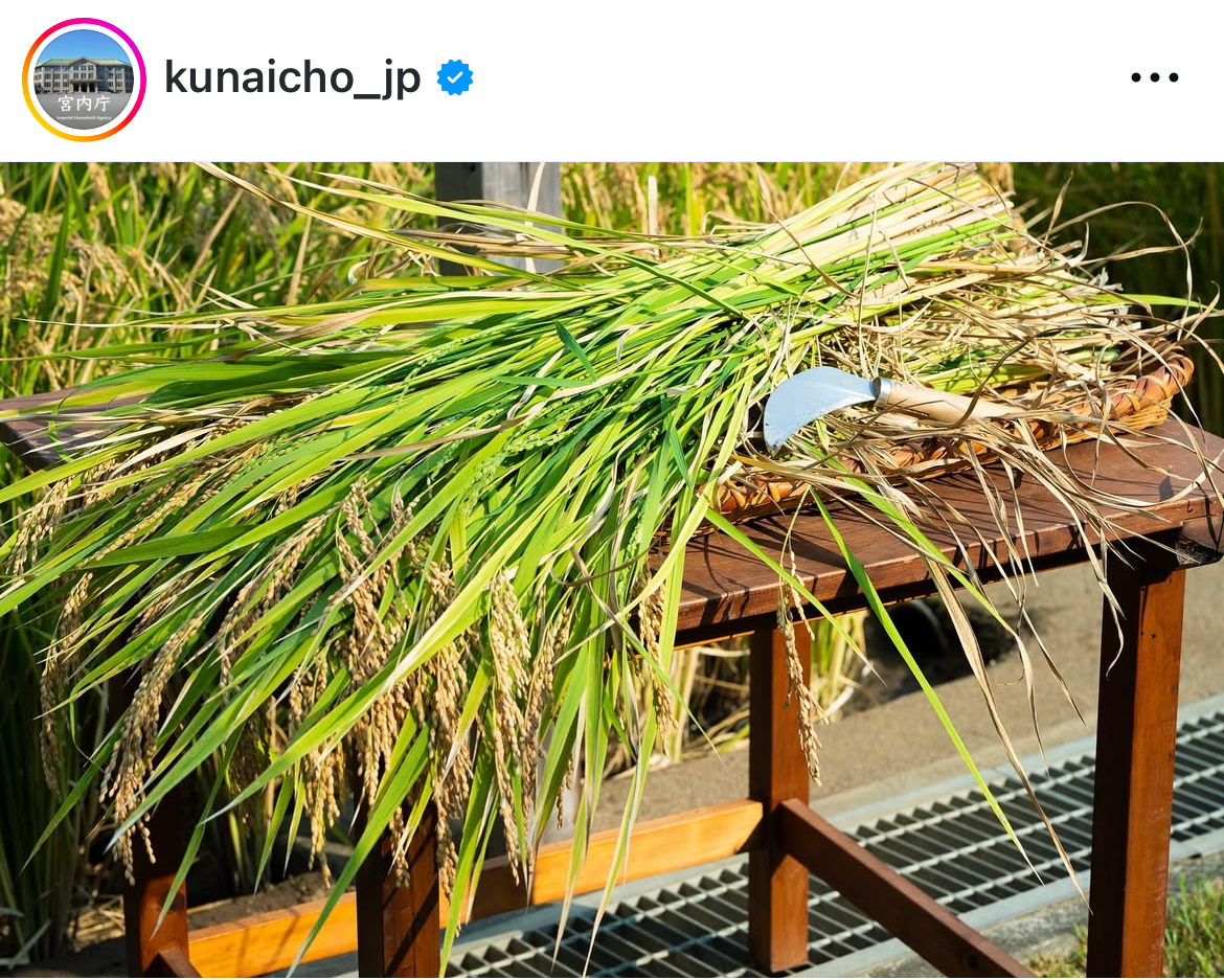 宮内庁のインスタグラムから