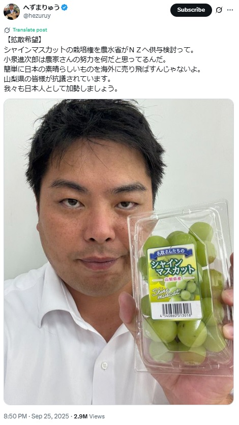 へずまりゅう氏のXから