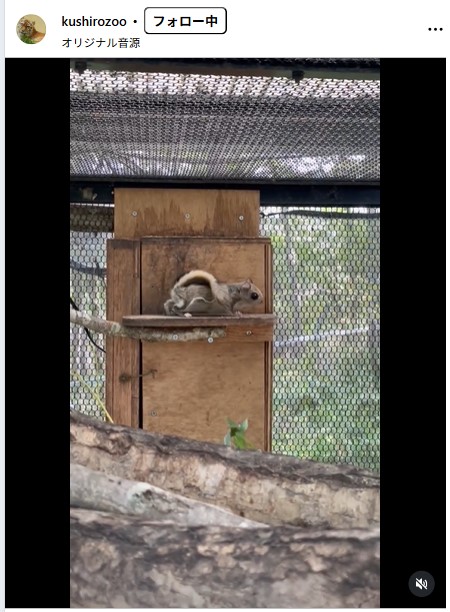 釧路市動物園の公式インスタグラムから