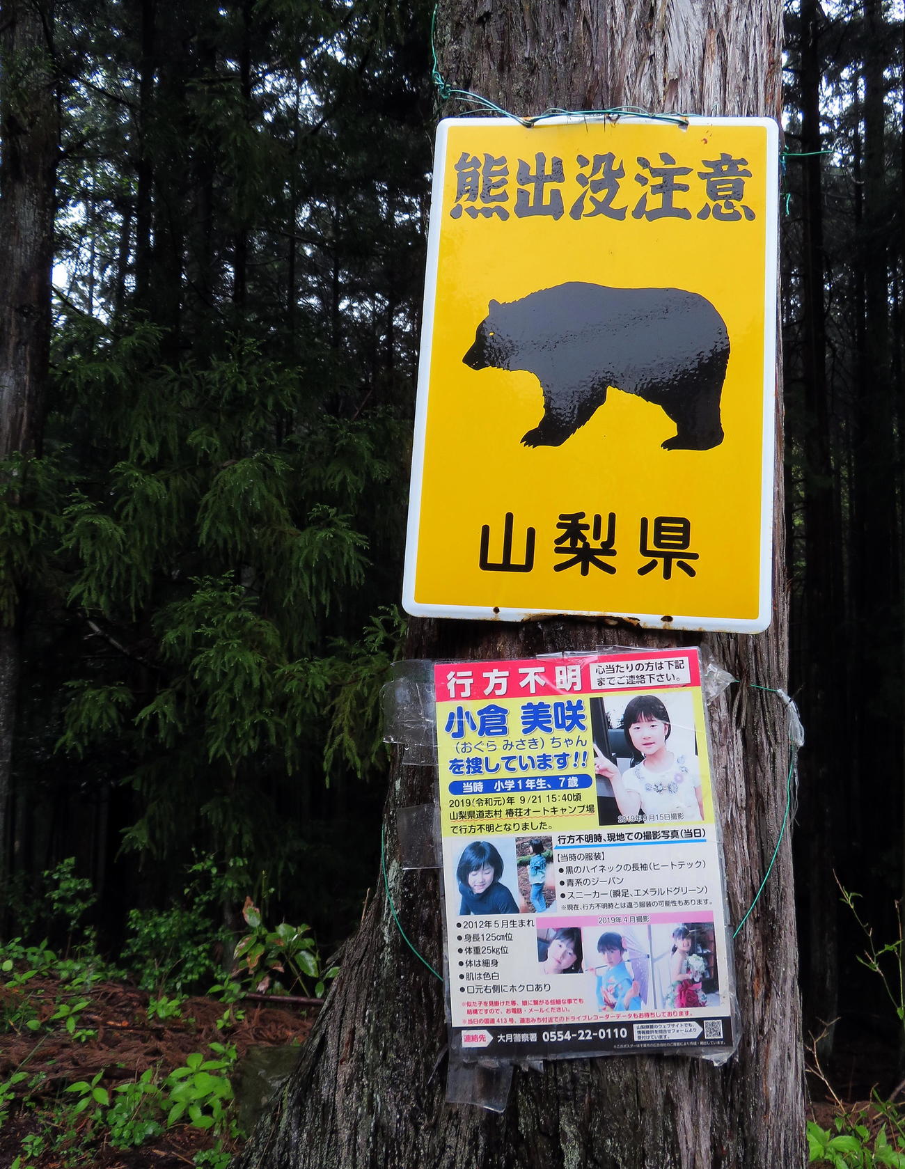 キャンプ場近くの「熊出没注意」看板の下に掲示されている小倉美咲さん捜索協力を願うポスター