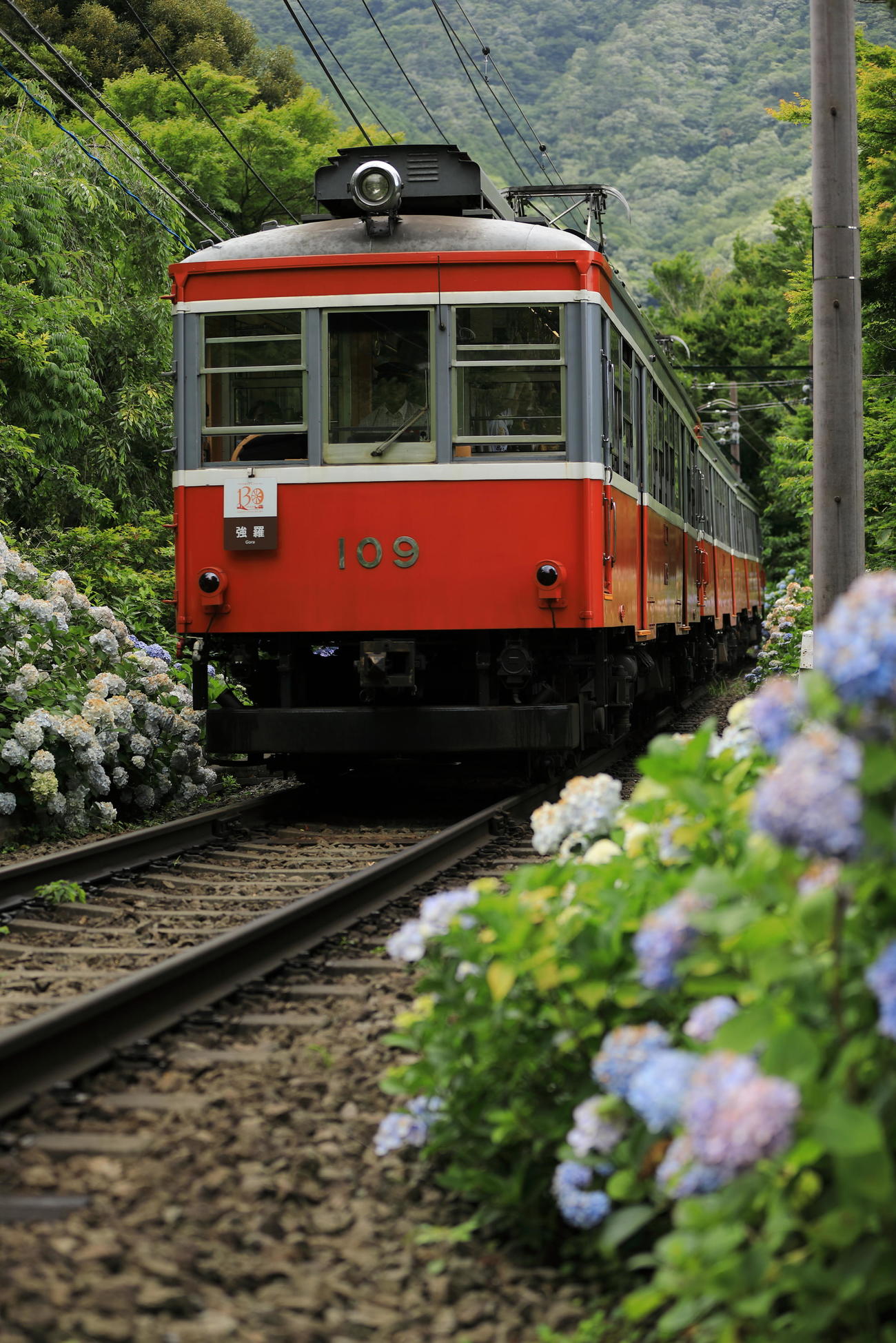 箱根登山鉄道　大平台－宮ノ下間（2018年6月27日撮影）