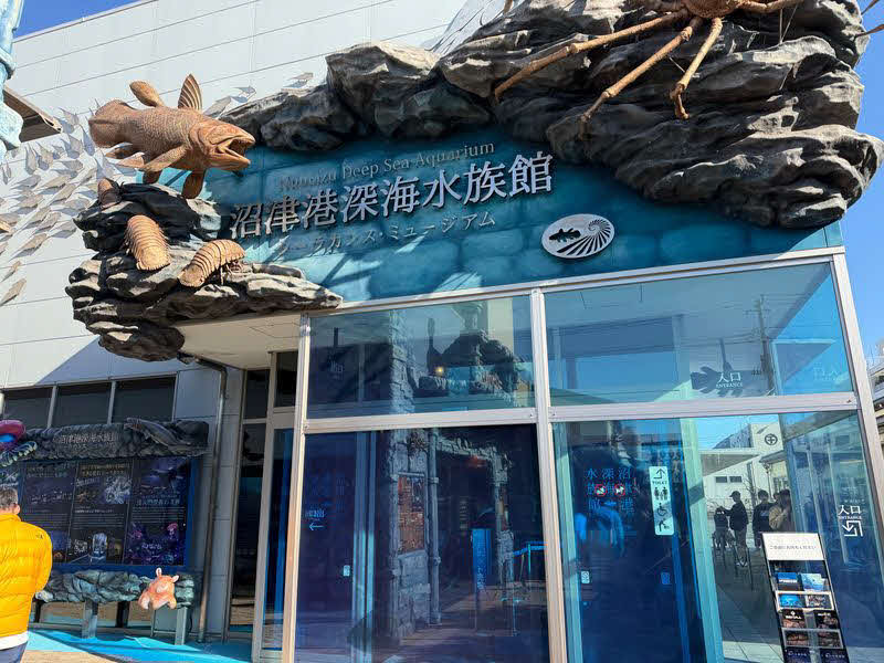 沼津港深海水族館（提供：鳥海高太朗氏）