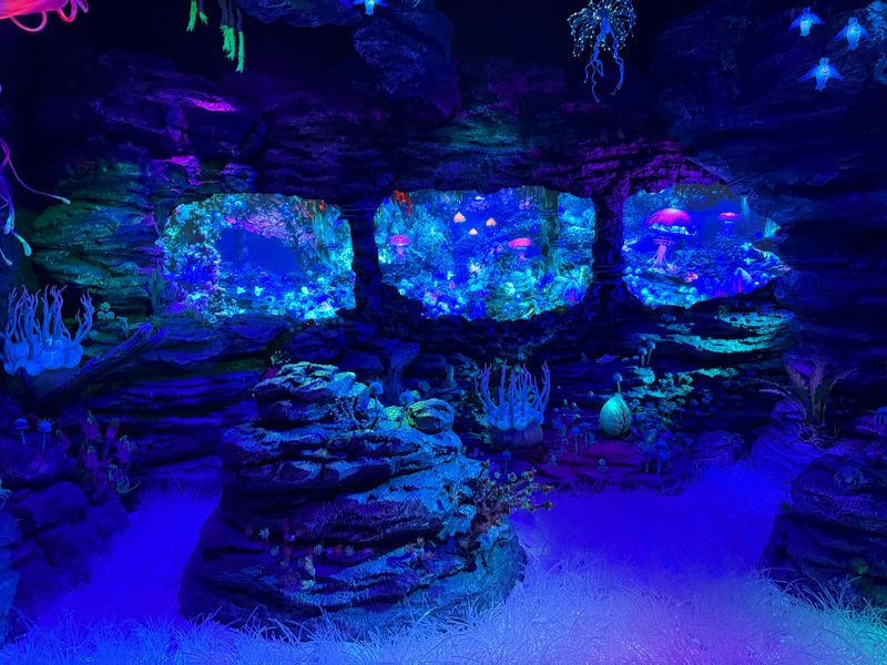 今年7月に沼津港深海水族館に新設された没入型エリア「イマーシブディープシーワールド」
（提供：鳥海高太朗氏）

