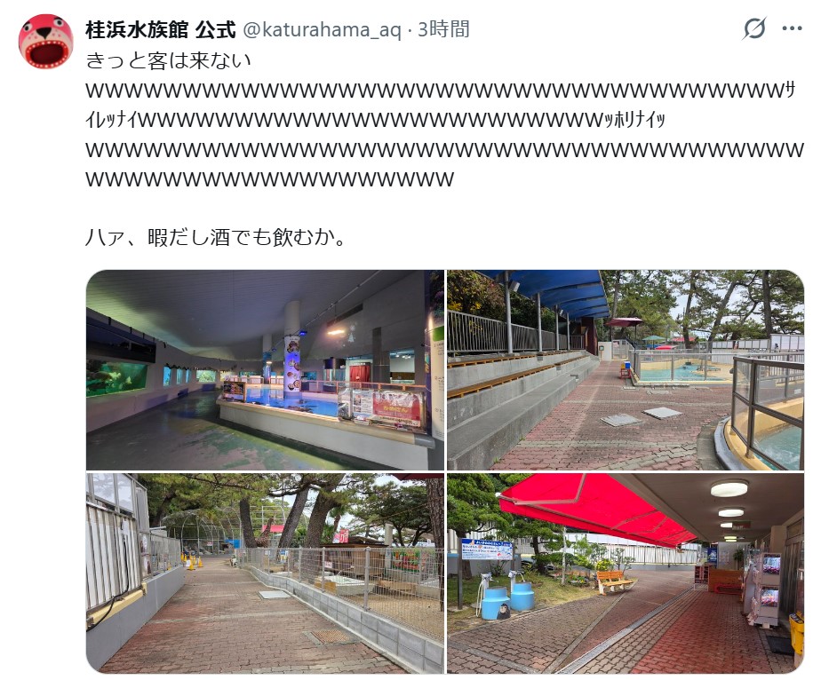 桂浜水族館公式Xから