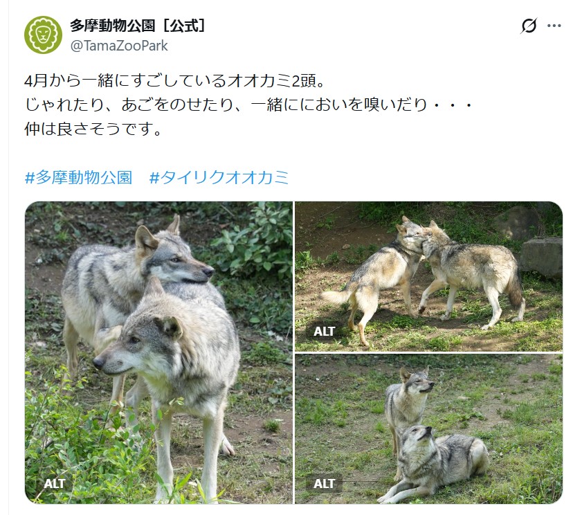 多摩動物公園のXから