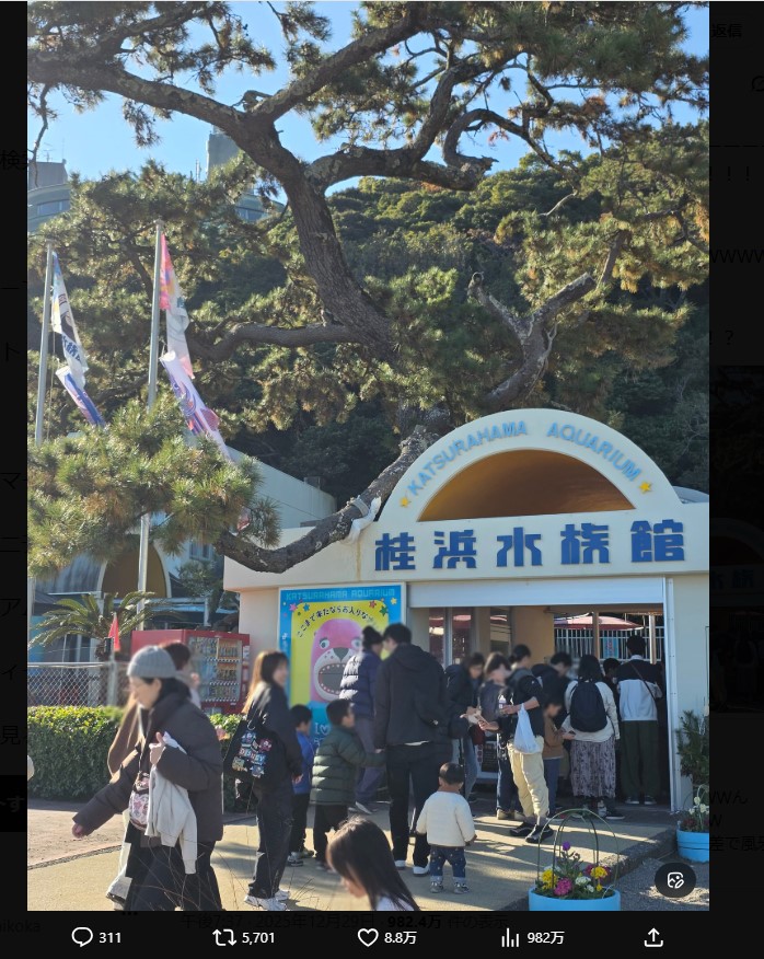 桂浜水族館のXから