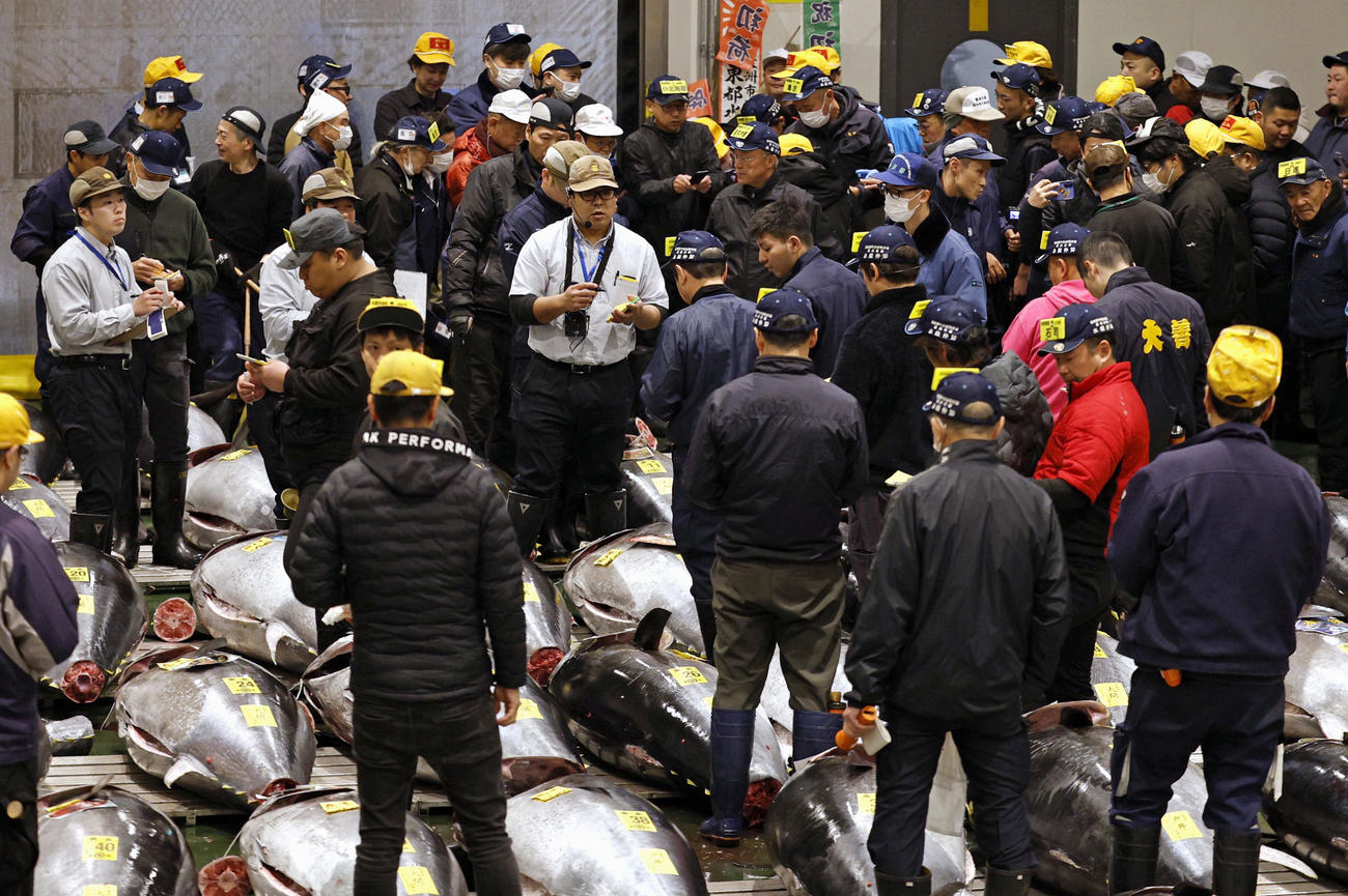 東京都江東区の豊洲市場で開かれた「初競り」（共同）