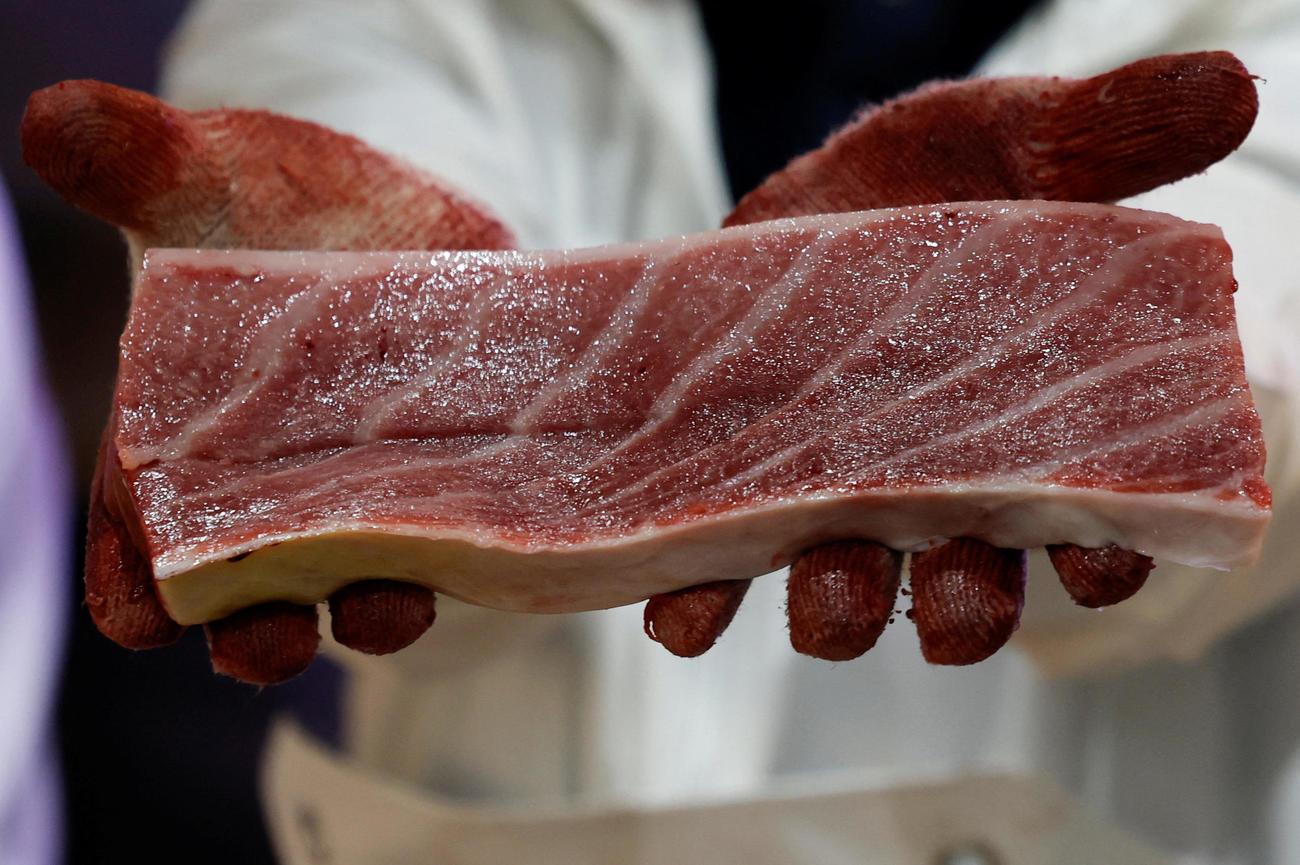 「初競り」最高値の5億1030万円で競り落とされた青森県大間産のクロマグロの切り身を見せる従業員（ロイター）