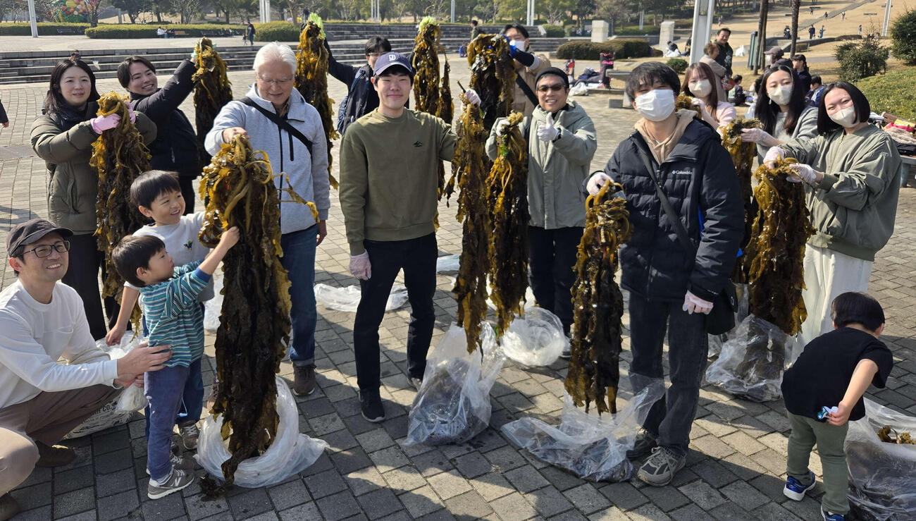 横浜臨港パークのワカメを収穫したグループ、大漁だ！（撮影・寺沢卓）
