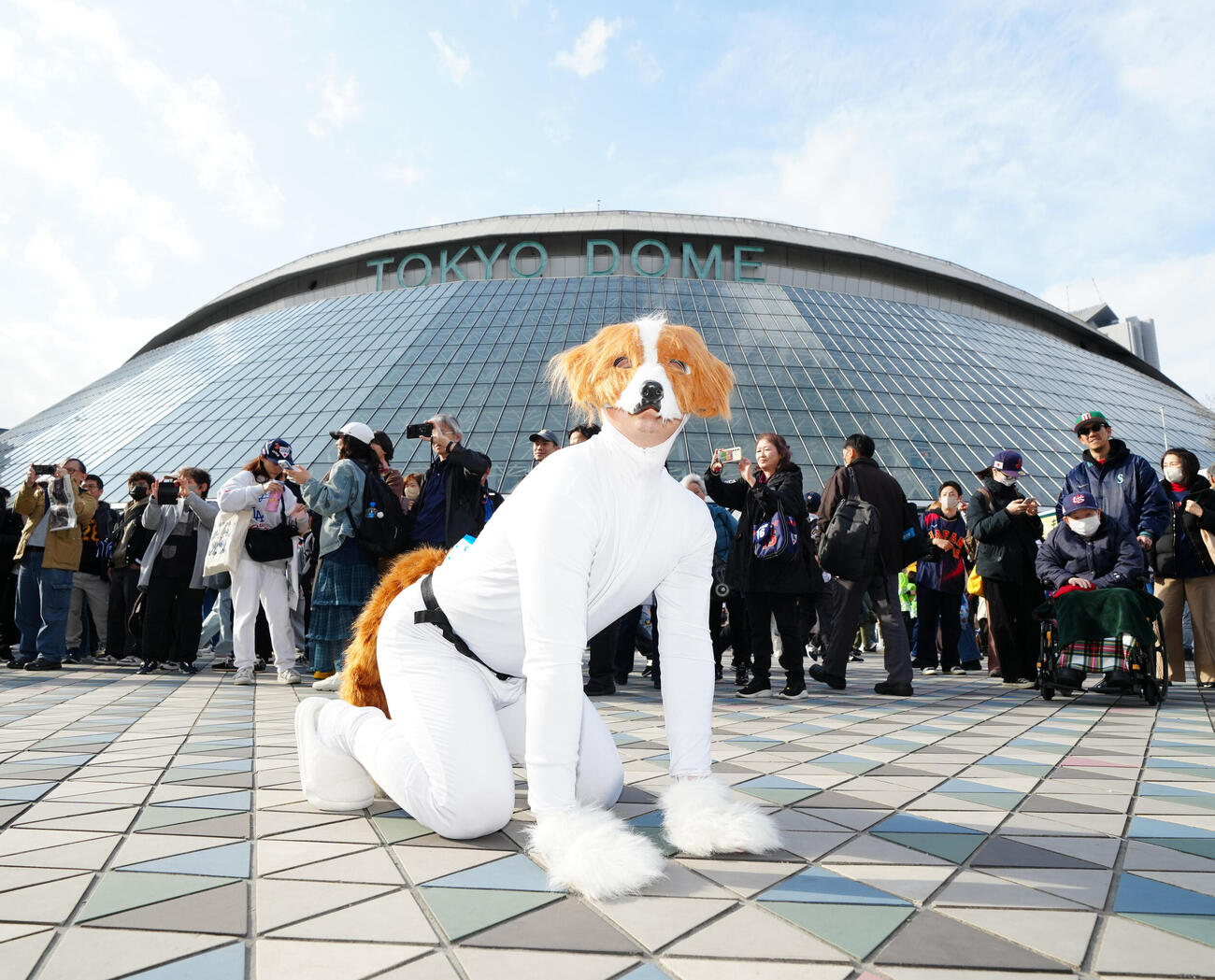 台湾対日本　試合前、東京ドーム外周で写真に納まる「デコピン」に扮（ふん）するピークゆくた！（撮影・江口和貴）