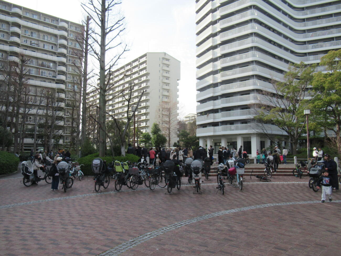 大阪市内の住宅街に現れたシカで、周辺には人だかりができた（撮影・益田一弘）