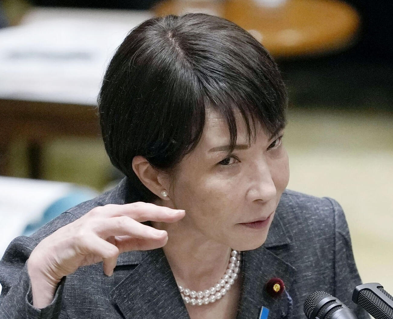 参院決算委で答弁する高市首相（共同）