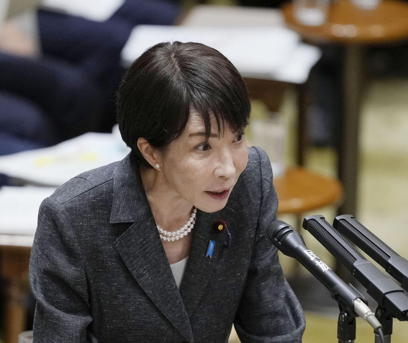 参院決算委で答弁する高市首相（共同）