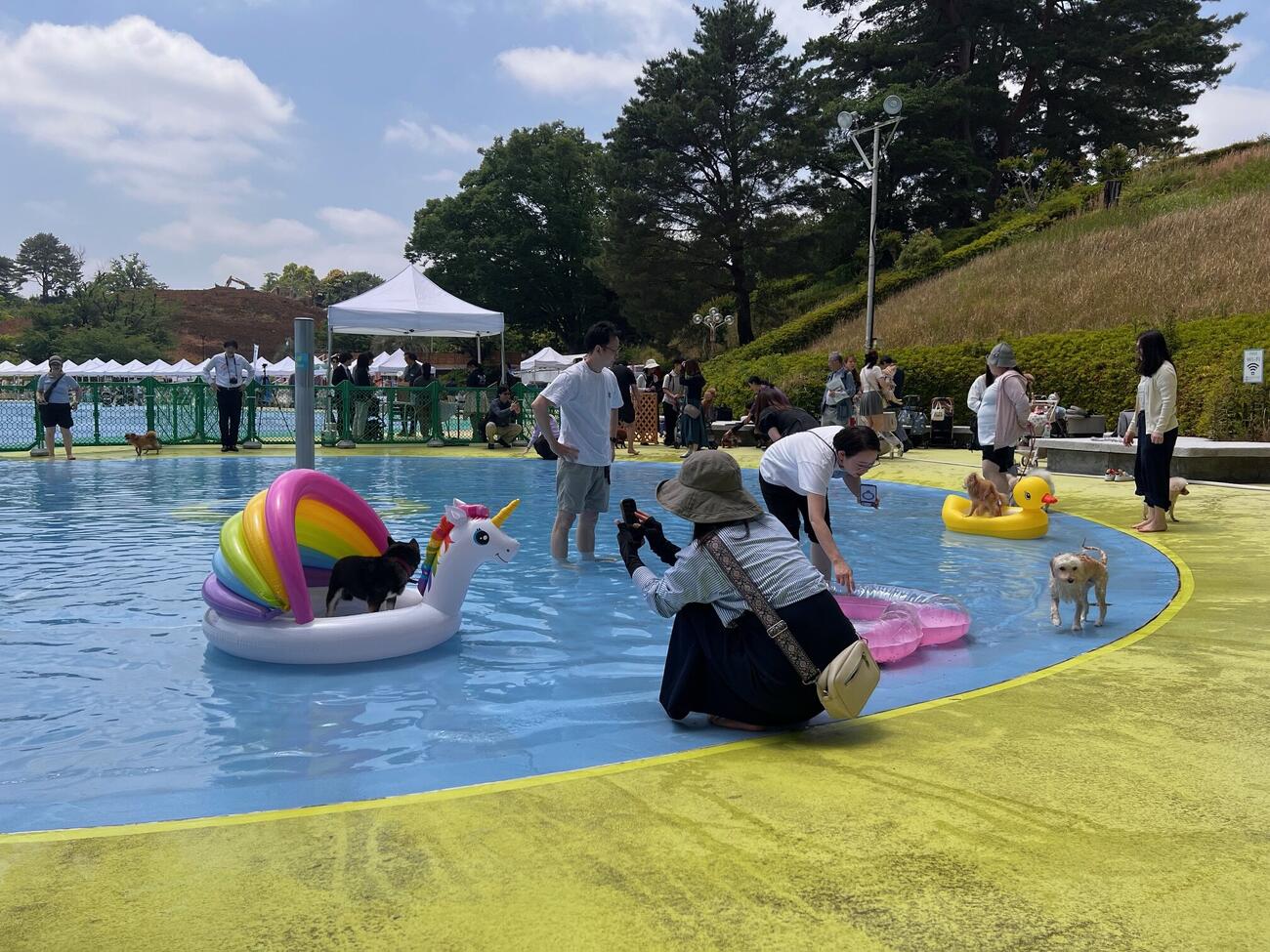 わんちゃんが遊園地を楽しめるイベント「わんわん西武園ゆうえんち」で涼しさを求めて多くのわんちゃんが入った「じゃぶじゃぶプール」