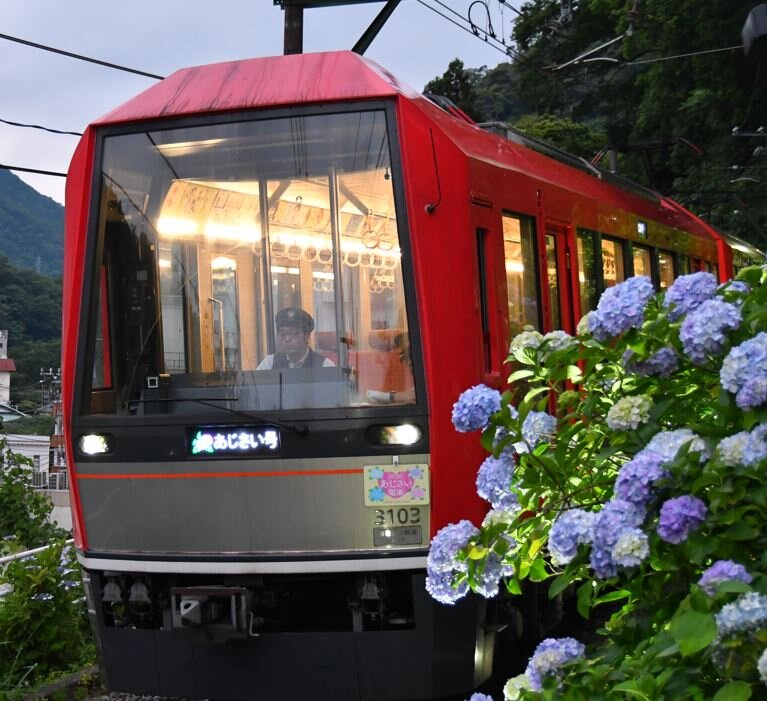 13日から運行し始めた箱根登山電車「夜のあじさい号」