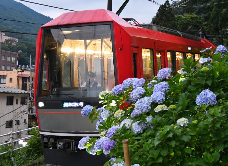 13日から運行し始めた箱根登山電車「夜のあじさい号」