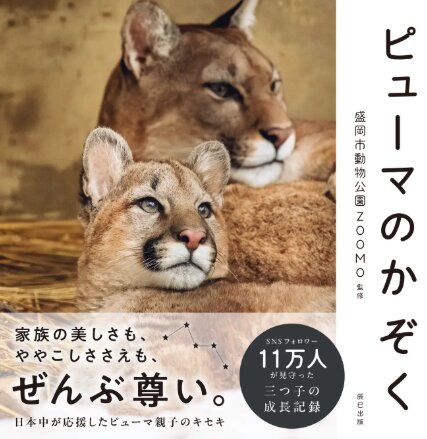 『ピューマのかぞく』（盛岡市動物公園ZOOMO監修／辰巳出版発行）