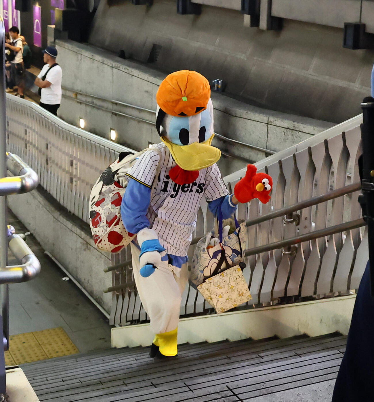 阪神が連覇を決め道頓堀にはドナルドダックのコスプレをしたファンの姿も（撮影・加藤哉）