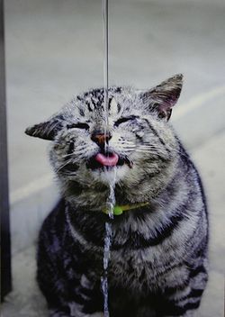 水道産業新聞社賞を獲得した河田永友さんの「猛暑」