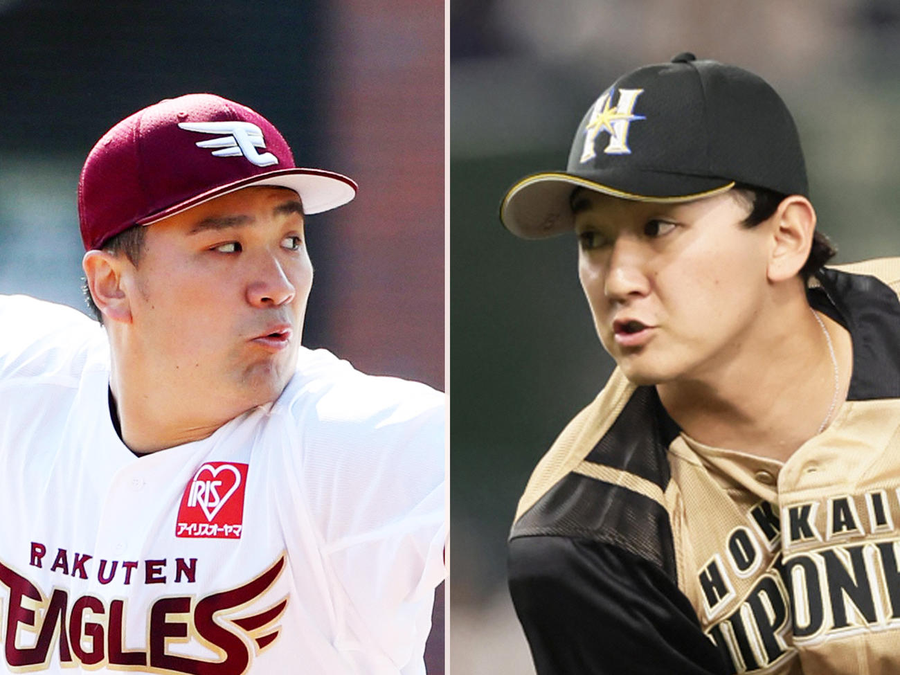 楽天田中将（左）と日本ハム立野