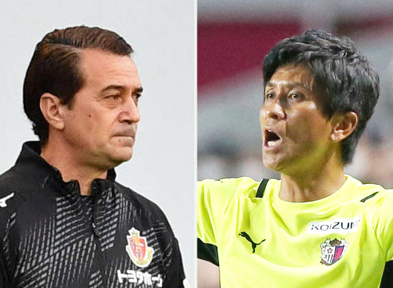 名古屋フィッカデンティ監督（左）とC大阪小菊監督
