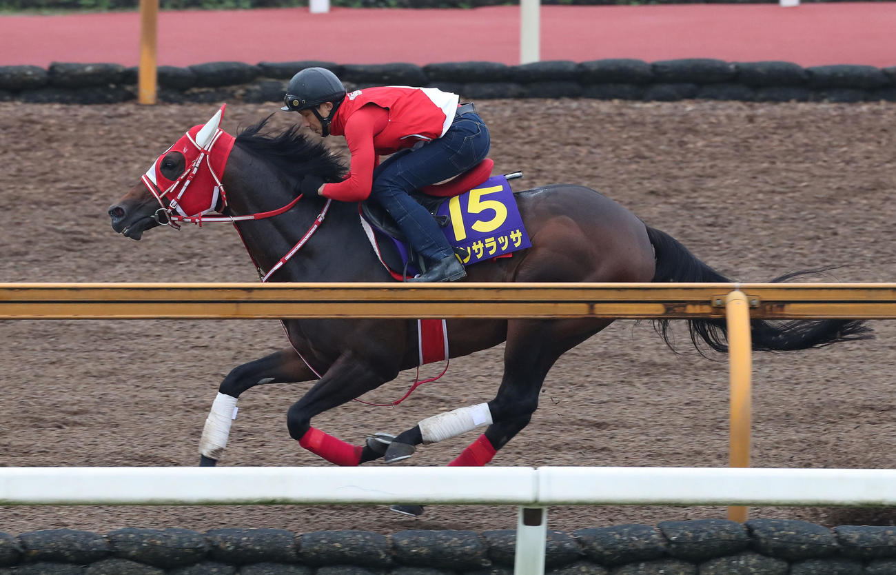 Cウッドを併せ馬で追い切るパンサラッサ（6月16日撮影）