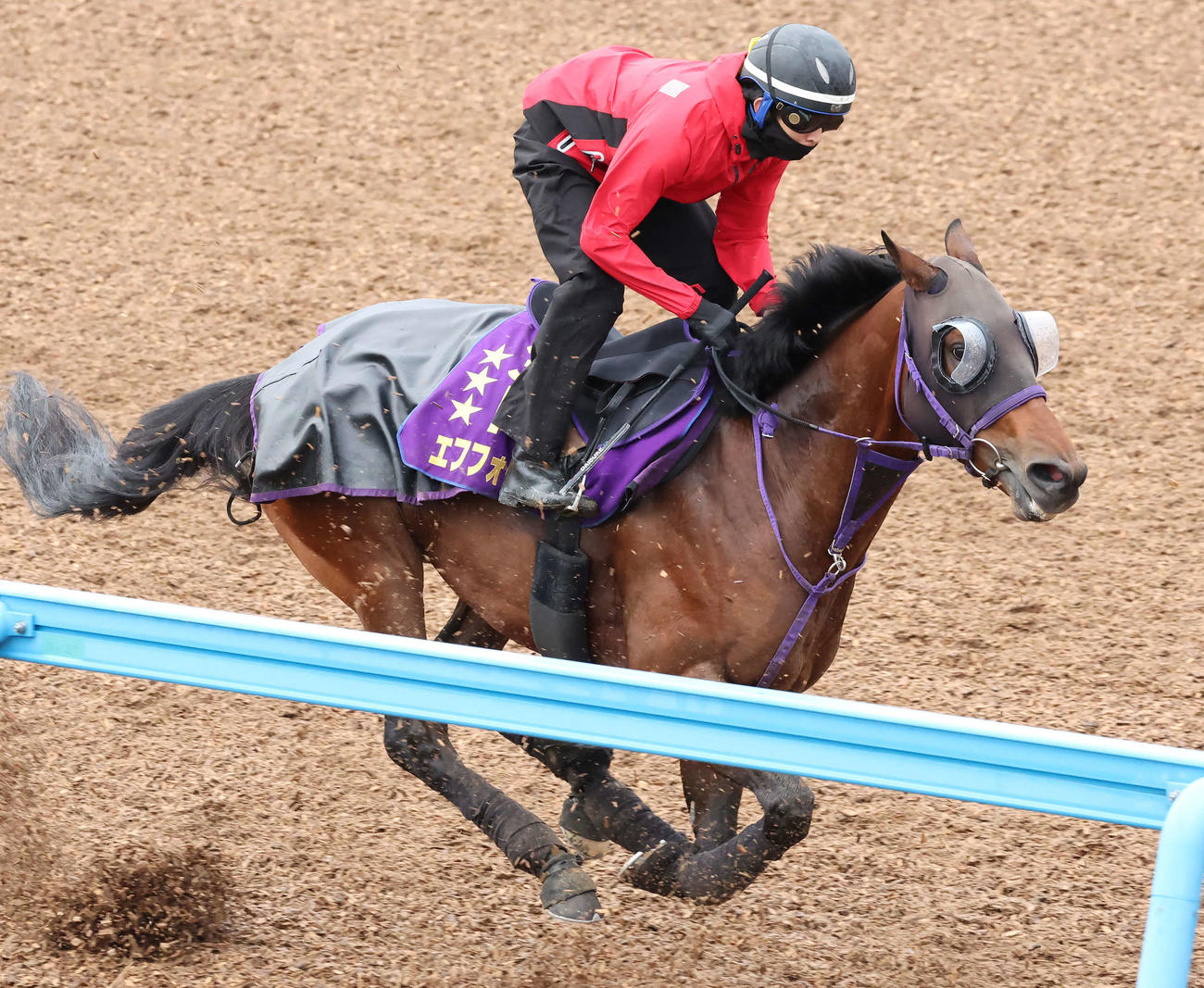 エフフォーリアは美浦ウッドで追い切られた（6月8日撮影）