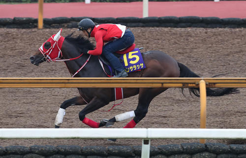 Cウッドを併せ馬で追い切るパンサラッサ（6月16日撮影）