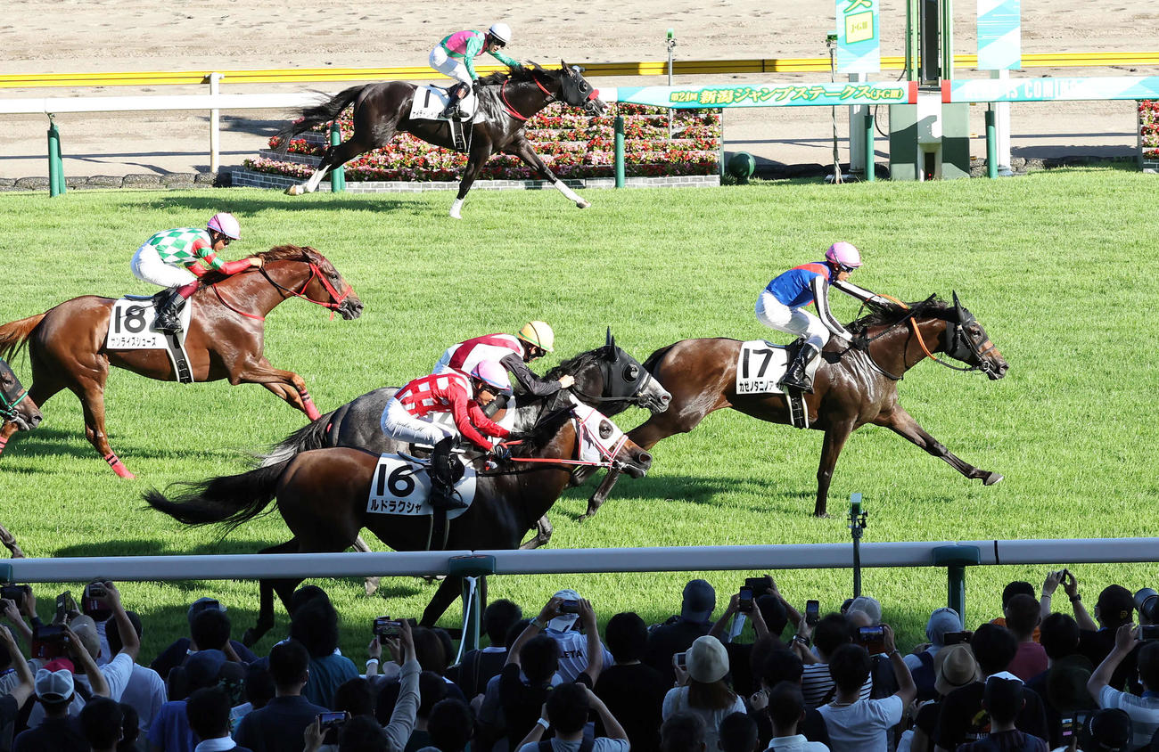 新潟12Rを制したカゼノタニノアヤカとホー騎手（右）（撮影・丹羽敏通）