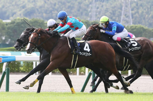 小倉10R　柳川特別　1着のウィンドリッパーとC・ホー騎手（8月13日、撮影・屋方直哉）
